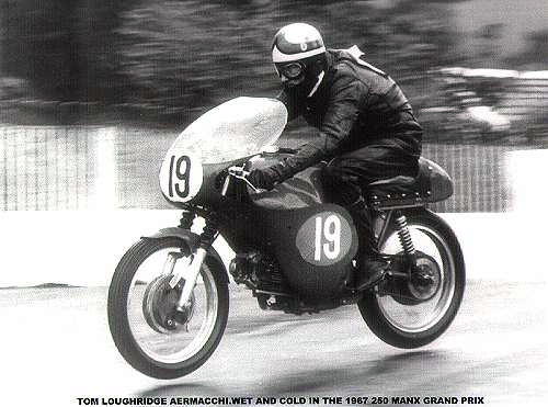 scan34ss.jpg (28854 bytes)