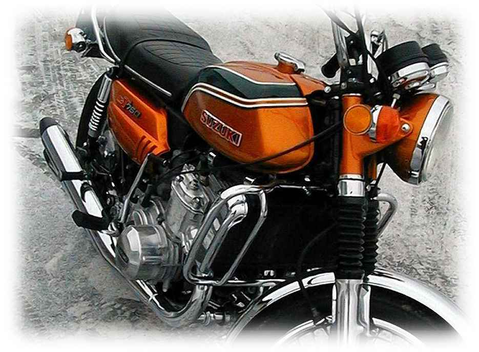 arnegt7502.jpg (71493 bytes)