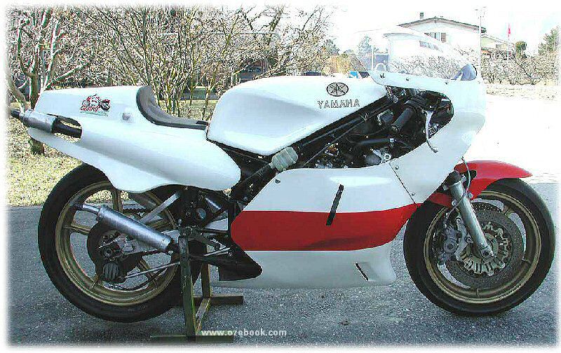 L-DP19-1.jpg (143523 bytes)