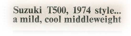 mcs1.jpg (9313 bytes)