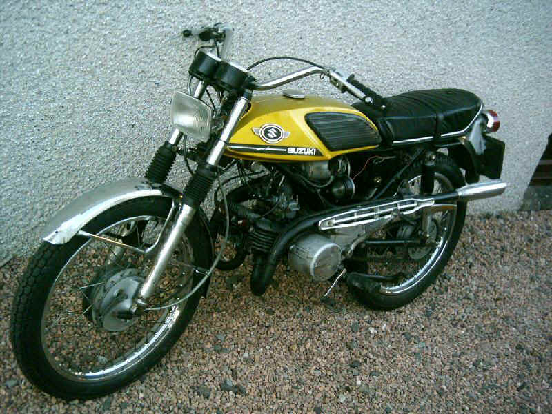 stinger.jpg (142987 bytes)