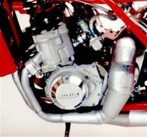 seel2-1s.jpg (14086 bytes)