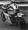 SHEENE.JPG